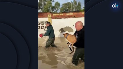 El temporal arrasa Andalucía: tornados, desaparecidos y ríos desbordados por la borrasca Laurence