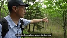 Japan_s Deer Problem(360P)