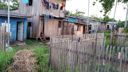 b'Drogas apreendidas pela Rotam em Icoaraci'