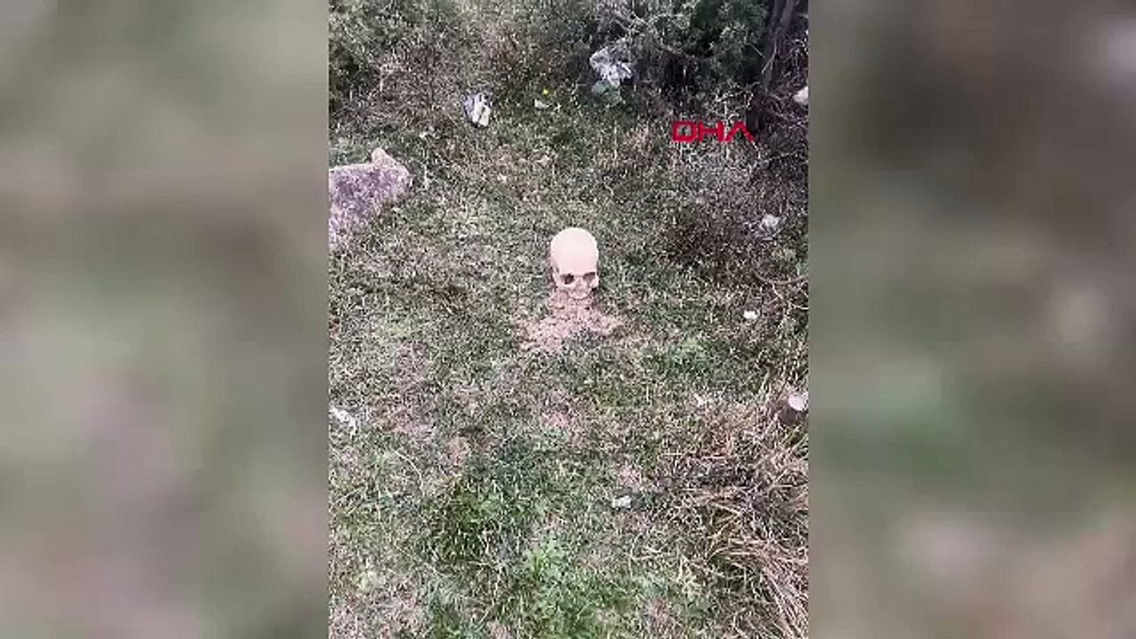 Korkunç olay! Ağaçlık alanda insana ait kafatası bulundu
