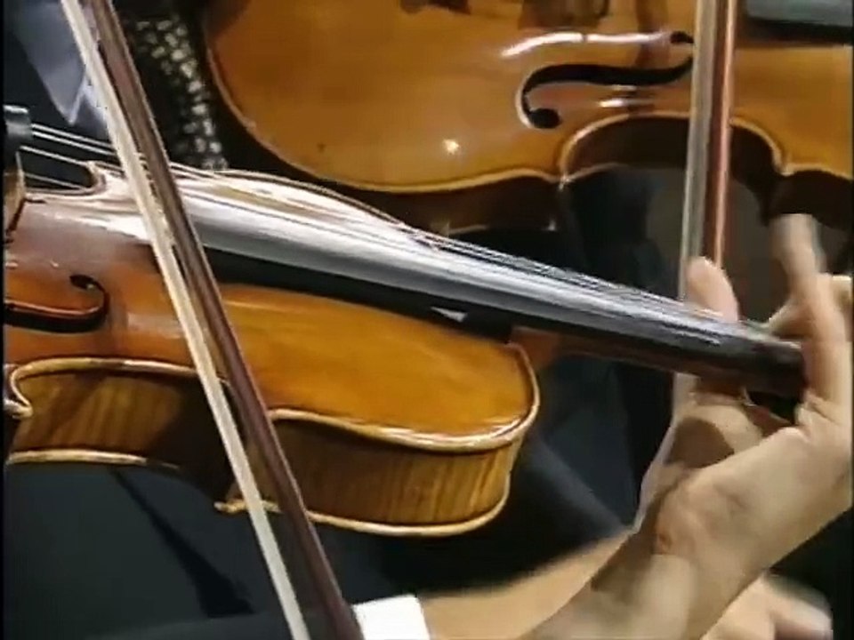 El vuelo del moscardón - Nikolai Rimsky-Korsakov