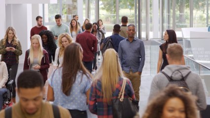 Is University the best answer for those looking at the job market?