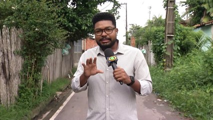 b'ATAQUE DE ABELHAS NO ICUI EM ANANINDEUA'