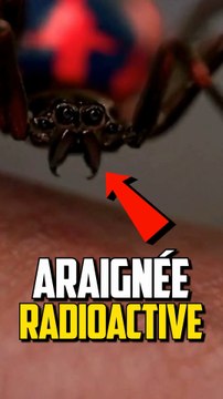 SI UNE ARAIGNÉE RADIOACTIVE TE MORDS ?!