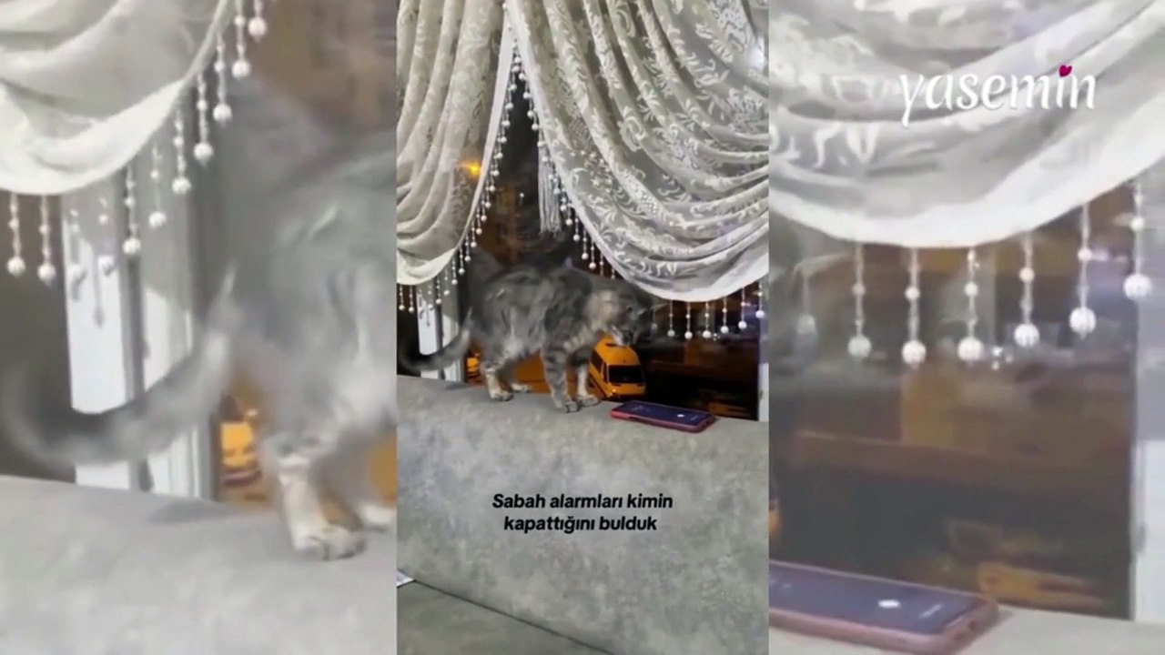 Sahura uyanamayan aile neden uyanamadıklarını b...