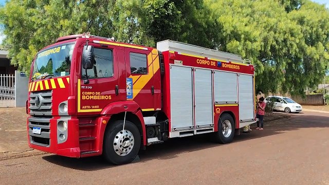Fofura! Bombeiros resgatam filhotes que caíram em bueiro no Morumbi