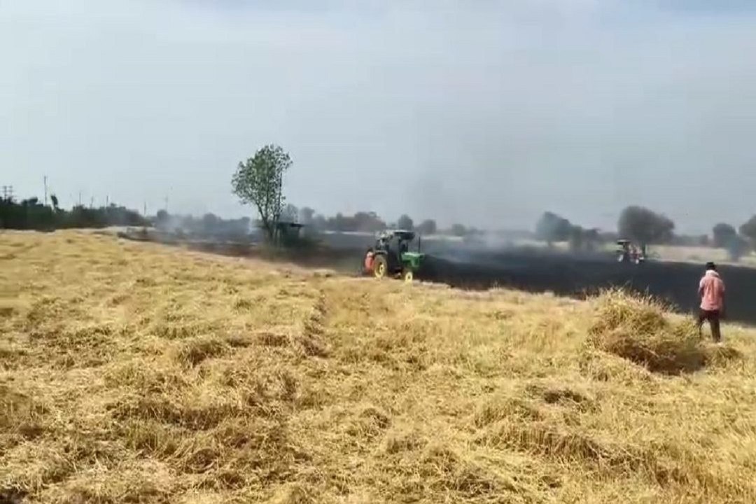 अतरालिया में  40 एकड़ गेहूं की खड़ी फसल जलकर हु...