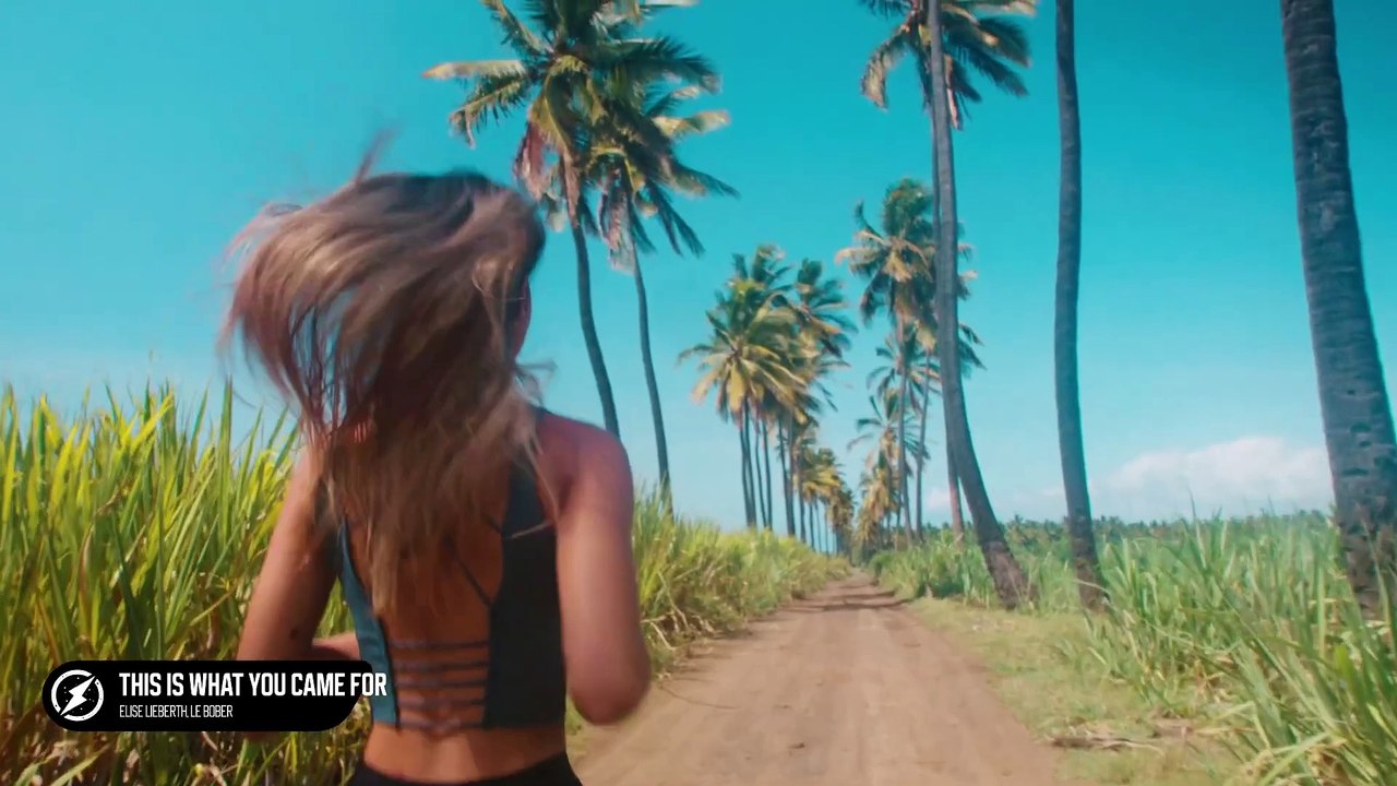 311. Elise Lieberth, Le Bober - This Is What You Came For