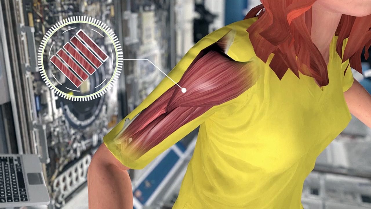 A journey into space: a test for the human body