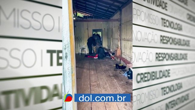 b'Mega operaa7o policial captura um dos maiores assaltantes de bancos do paads. '