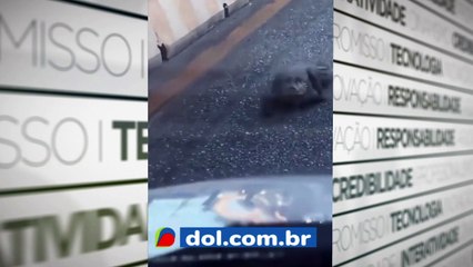 b'Jacara9 passeia em avenida de Bela9m'