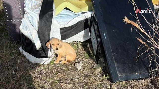 De camino al trabajo, algo se mueve entre muebles abandonados: la vida de varias familias cambia para siempre