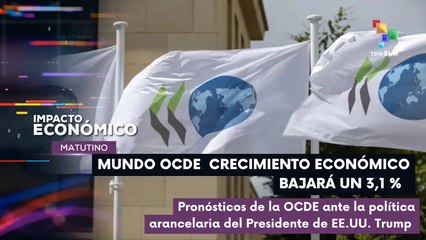 La OCDE asegura que habrá un ralentizamiento de 3,1% en el crecimiento económico mundial