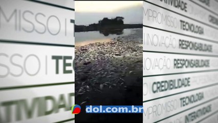 b'Moradores registram peixes mortos em lago de Alenquer'
