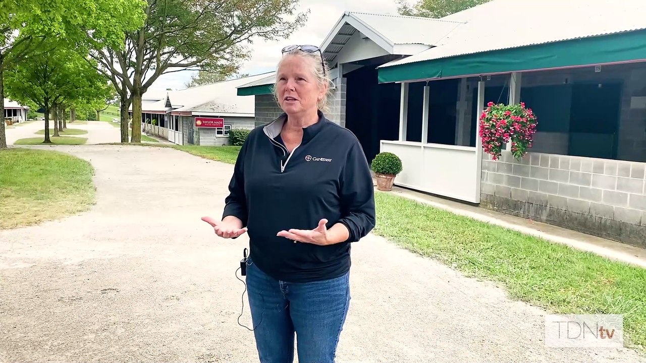 Gainesway Offers Half-Brother to Breeders' Cup-Bound Olympiad