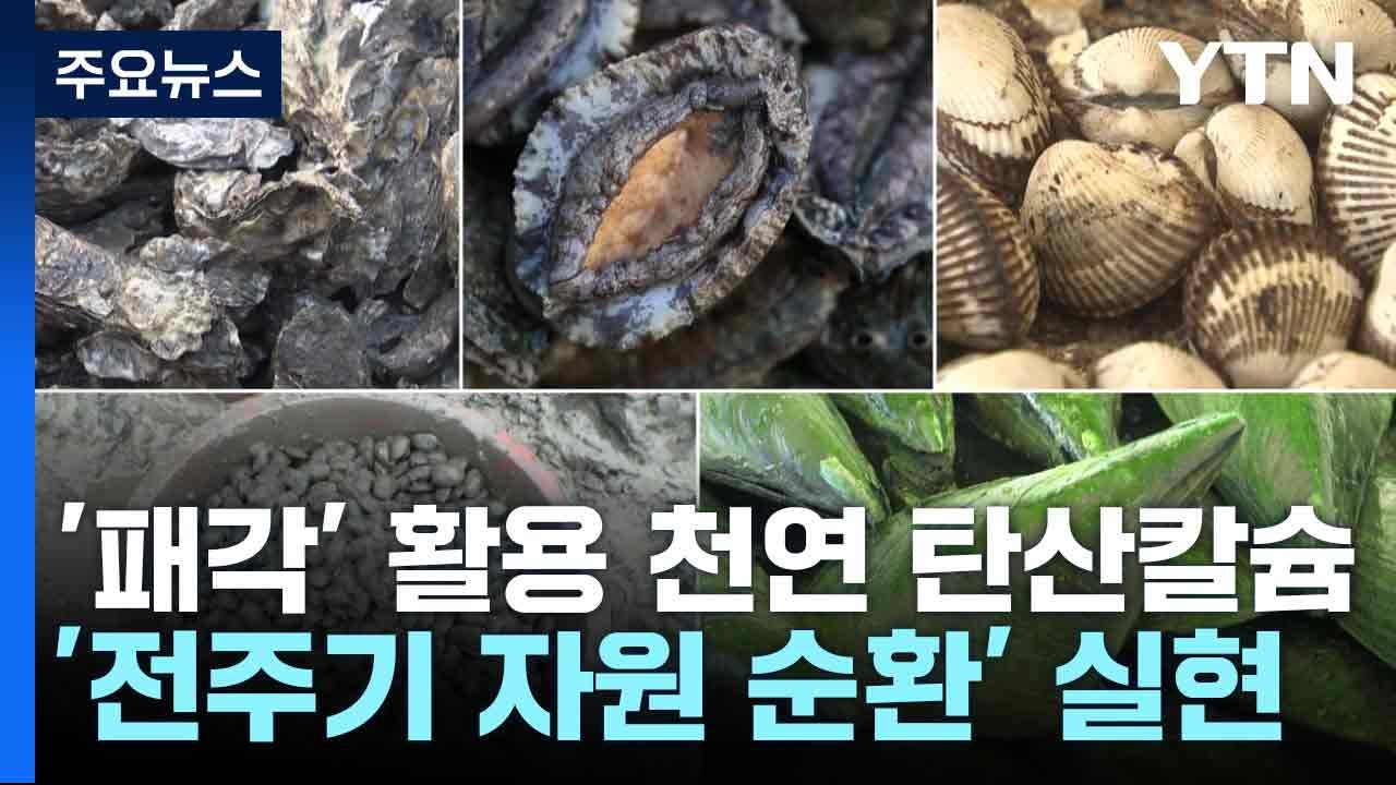 '패각' 활용 천연 탄산칼슘...'전주기 자원 순환' 실현 / YTN