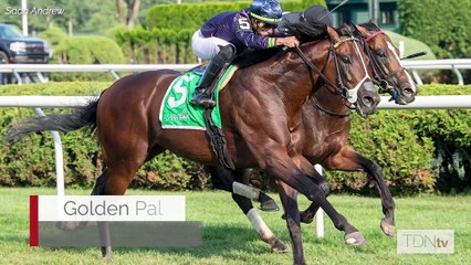 Golden Pal’s Half-Brother Sells at Keeneland September