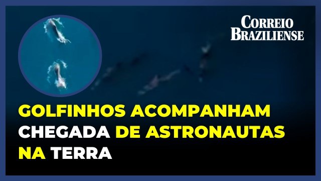 Golfinhos acompanham chegada dos astronautas de volta à Terra, no Golfo do México