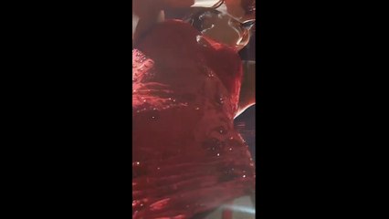 Un fan graba a Dua Lipa en concierto desde primera fila: el video le dejará en shock