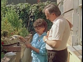 Шереметьево 2. Фильм. Драма (360P)