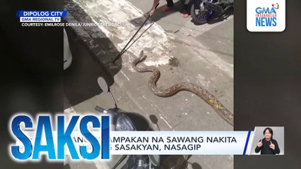 Limang talampakan na sawang nakita sa ilalim ng sasakyan, nasagip | Saksi