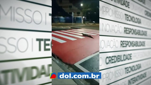 b'Jacare e flagrado em faixa de pedestre tentando atravessar em Manaus'