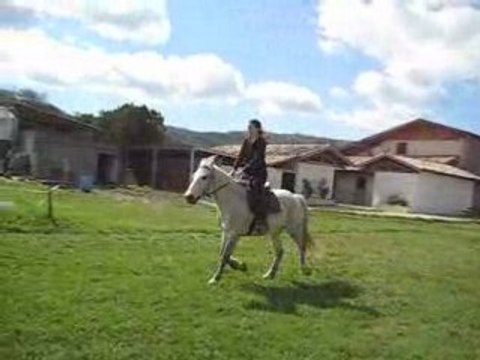 Izou & Nemania, barres au sol