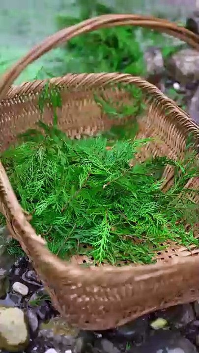 Discover the fascinating process behindmaking ancient shampoo using traditionalmethods and natural ingredients. Watch asage-old techniques bring this timeless beautysecret to life!  #interesting #Asia #Amazing #trendingreels#viralvideo #dailypost #fypage