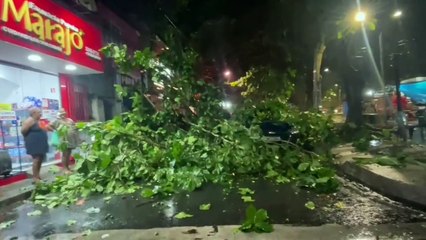 b'Chuva derruba a1rvores e causa queda de energia em Bela9m'