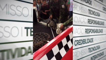b'policia ambiental captura jacare em escola'