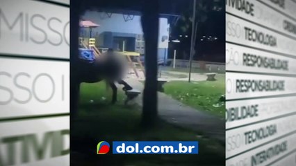 b'Caso de abuso de animais'