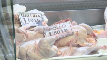 Avicultores buscan impulsar el consumo de carne de pollo a nivel nacional