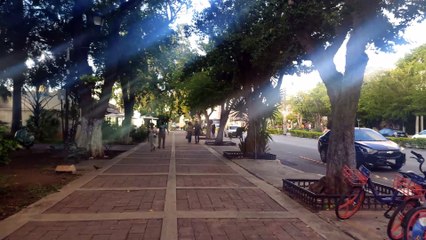 Paseo de Montejo - Mérida - Yucatán