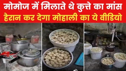 कुत्ते के मांस और सड़े हुए चिकन से बना रहे थे मोमोज, मोहाली की फैकट्री पर पड़ा छापा