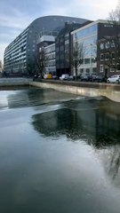 Une vague brise la glace d'un surf pool à Rotterdam