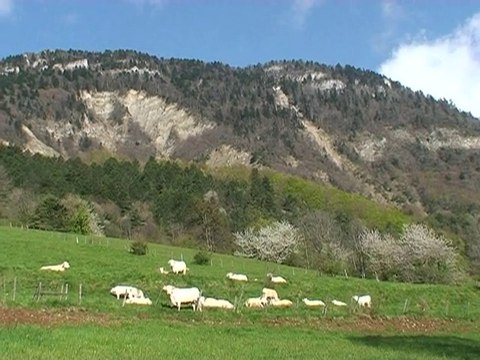 Crêtes Jonier-Ferrière 1508m Vercors