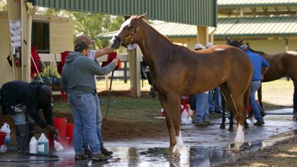 What to Expect from This Year's Two-Year-Old Marketplace