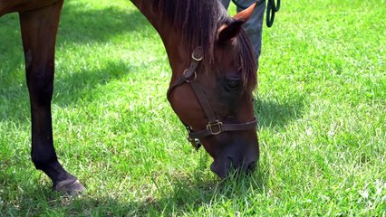 Marty Wolfson Picks Up the Pieces of His Life