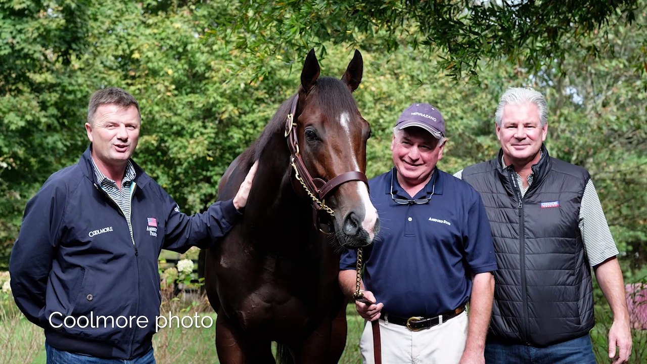 Empire Maker: First Yearlings Since US Repatriation