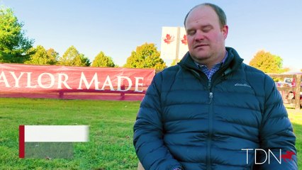 Taylor Made Sales on their Tattersalls Consignment