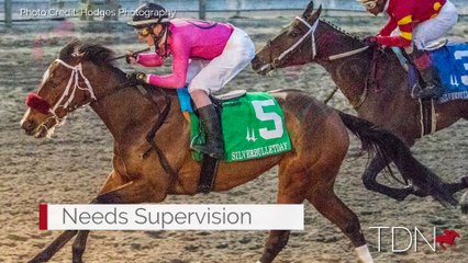 Paynter Making a Mark Among Third-Crop Sires