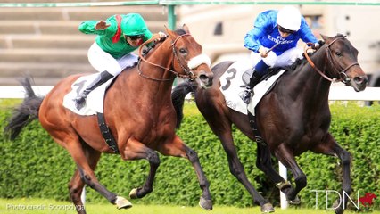 Cloth of Stars at Haras du Logis