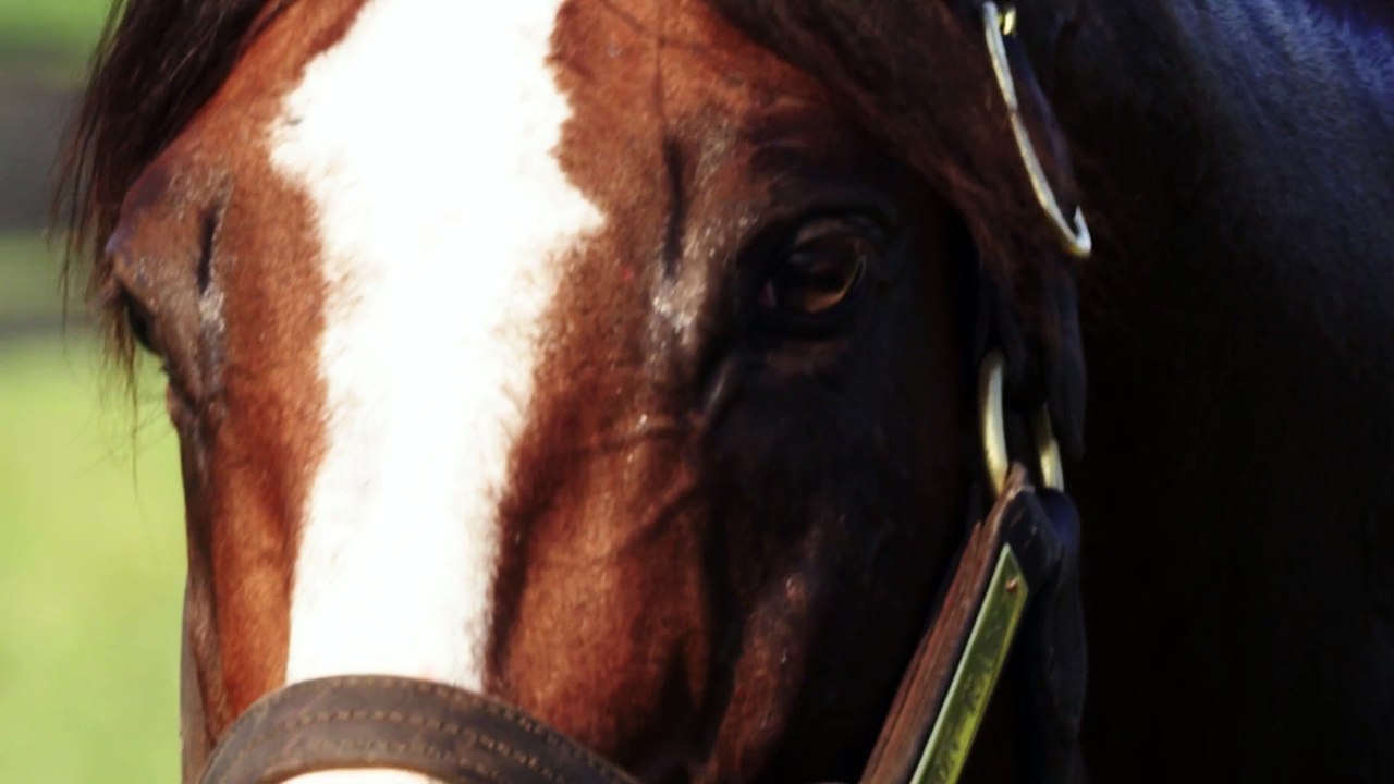 Union Rags, at Lanes End