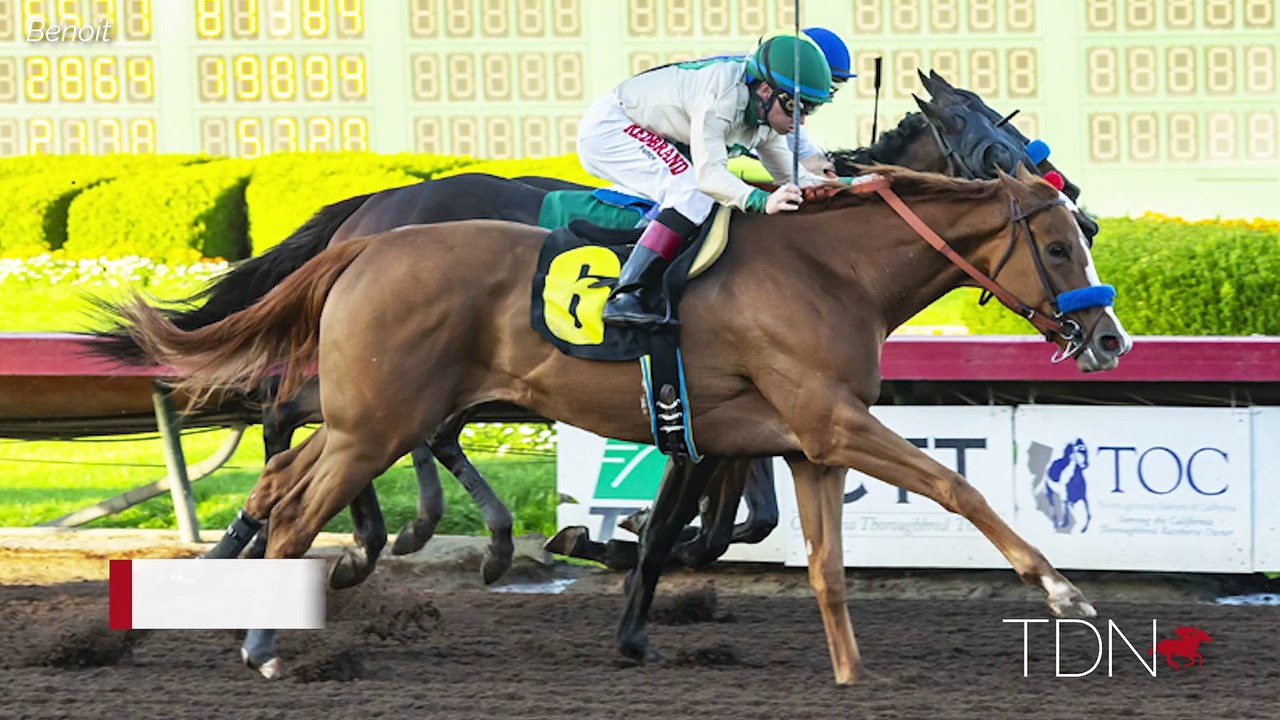 Jane Lyon, Summer Wind Farm and her Triple Crown Connection