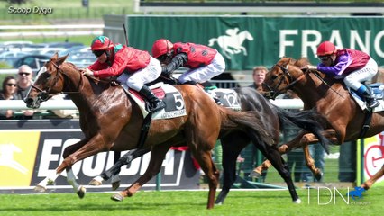 Lope De Vega, A Sire Ascending