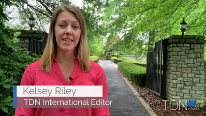 Air Force Blue: First Yearlings Sell this Summer