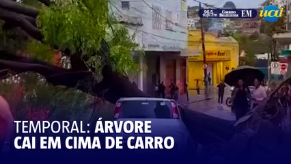 Árvore cai em cima de carro durante temporal em BH