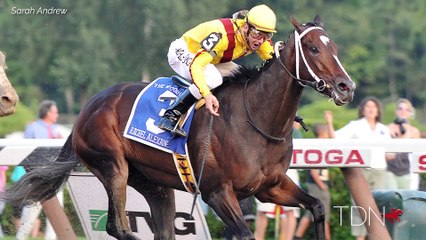 Going Strong at 20: Medaglia dOro