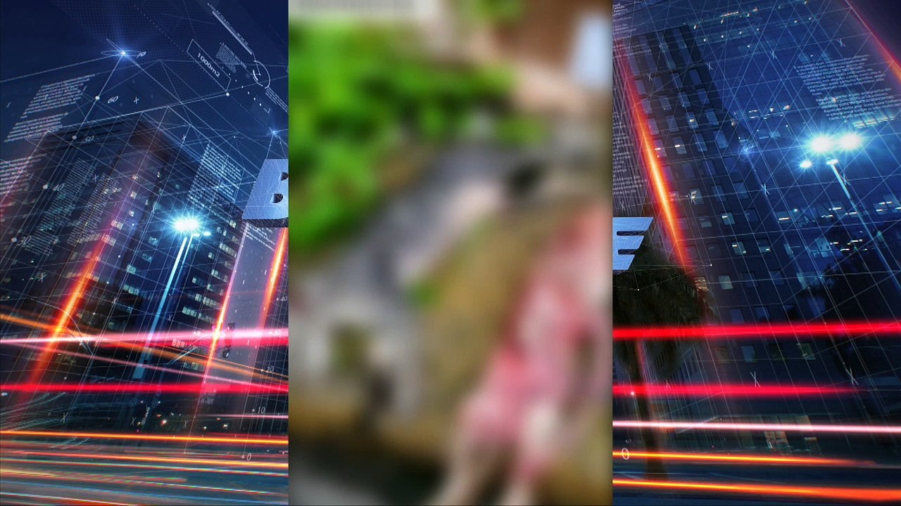 b'Sonora Delegado caso gatos'
