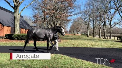 Grade I Winner By the Moon Foals an Arrogate Filly